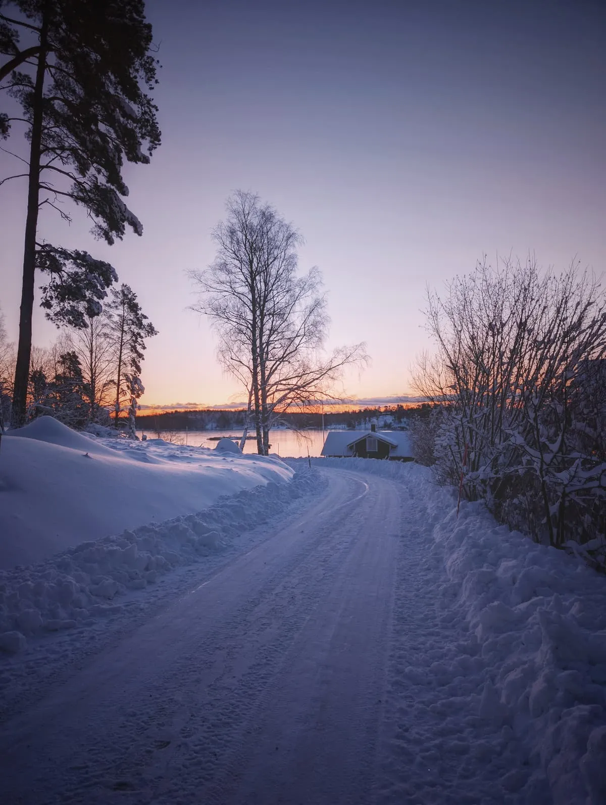 Weekly training photos