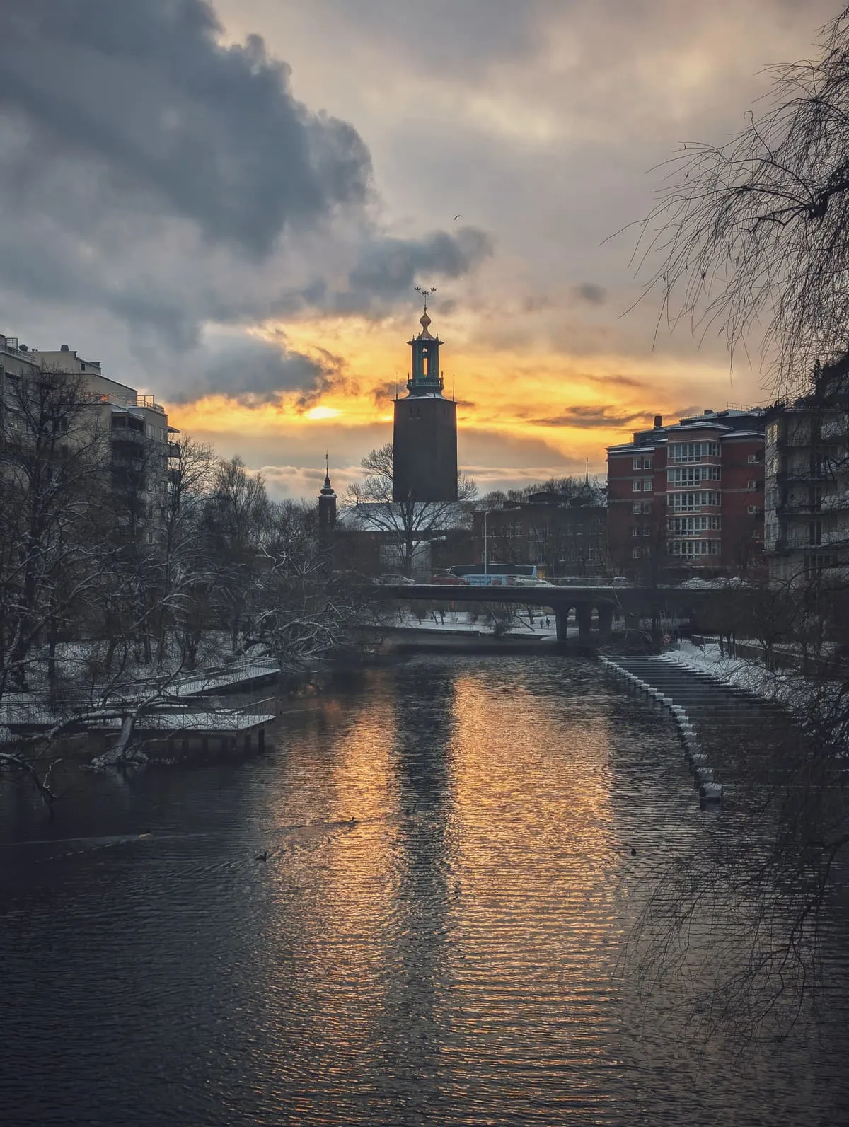 Weekly training photos