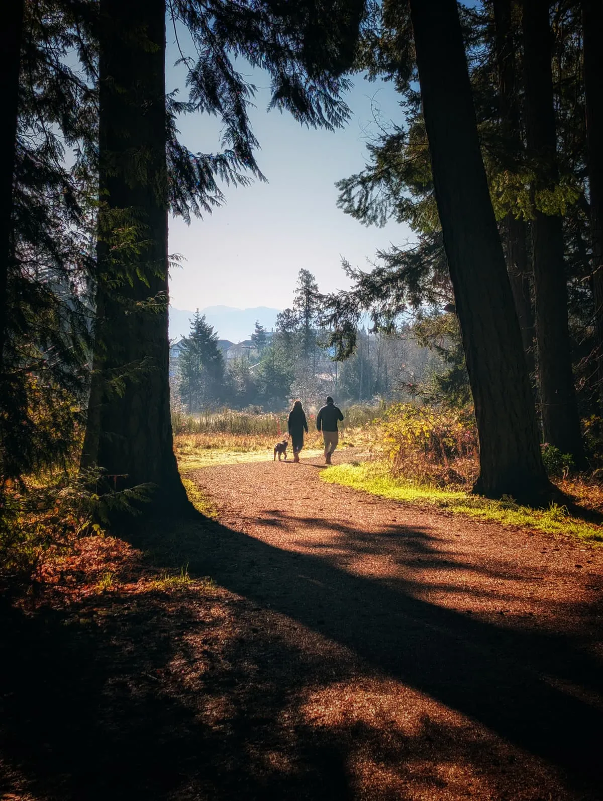Weekly training photos