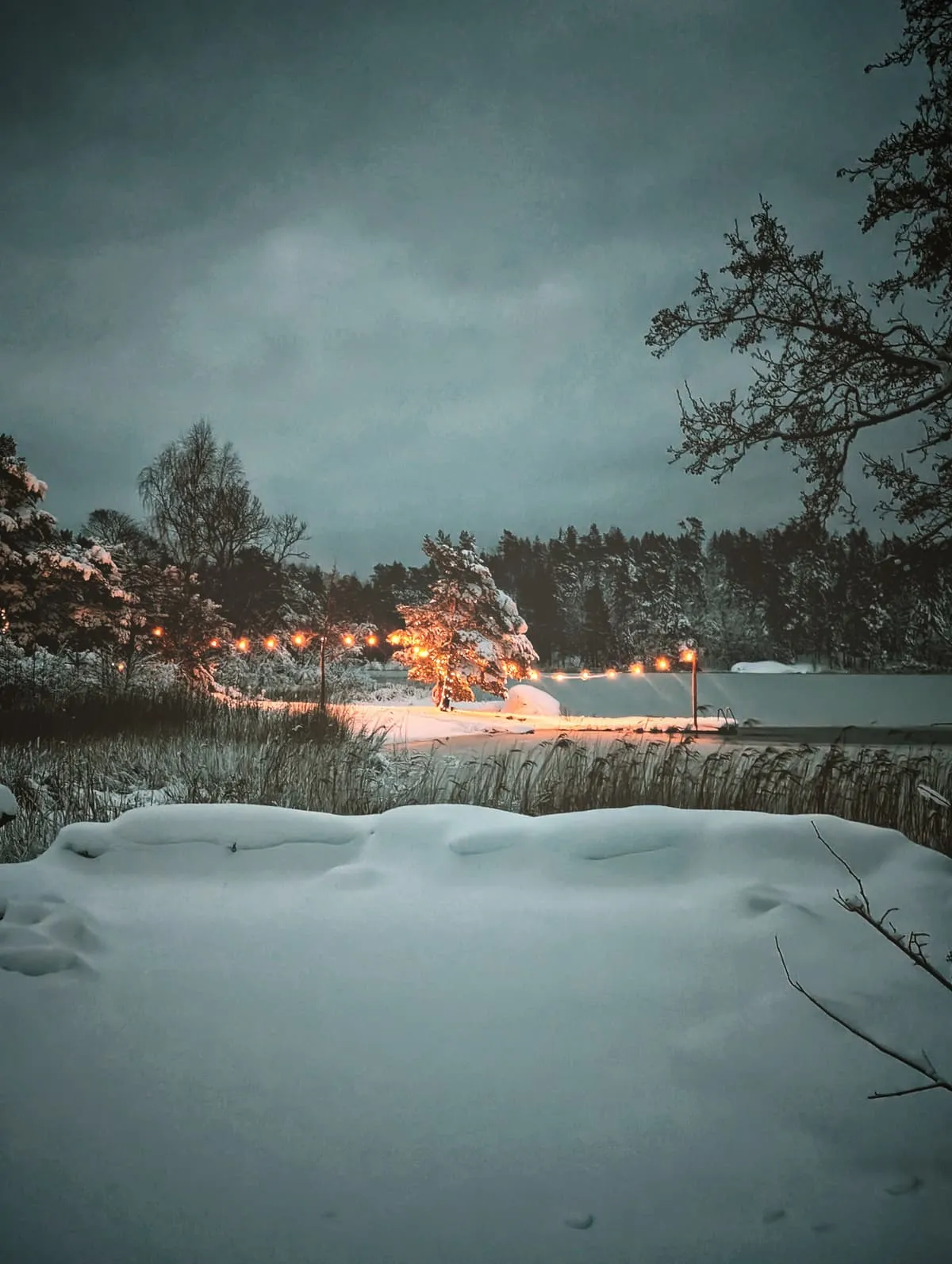 Weekly training photos