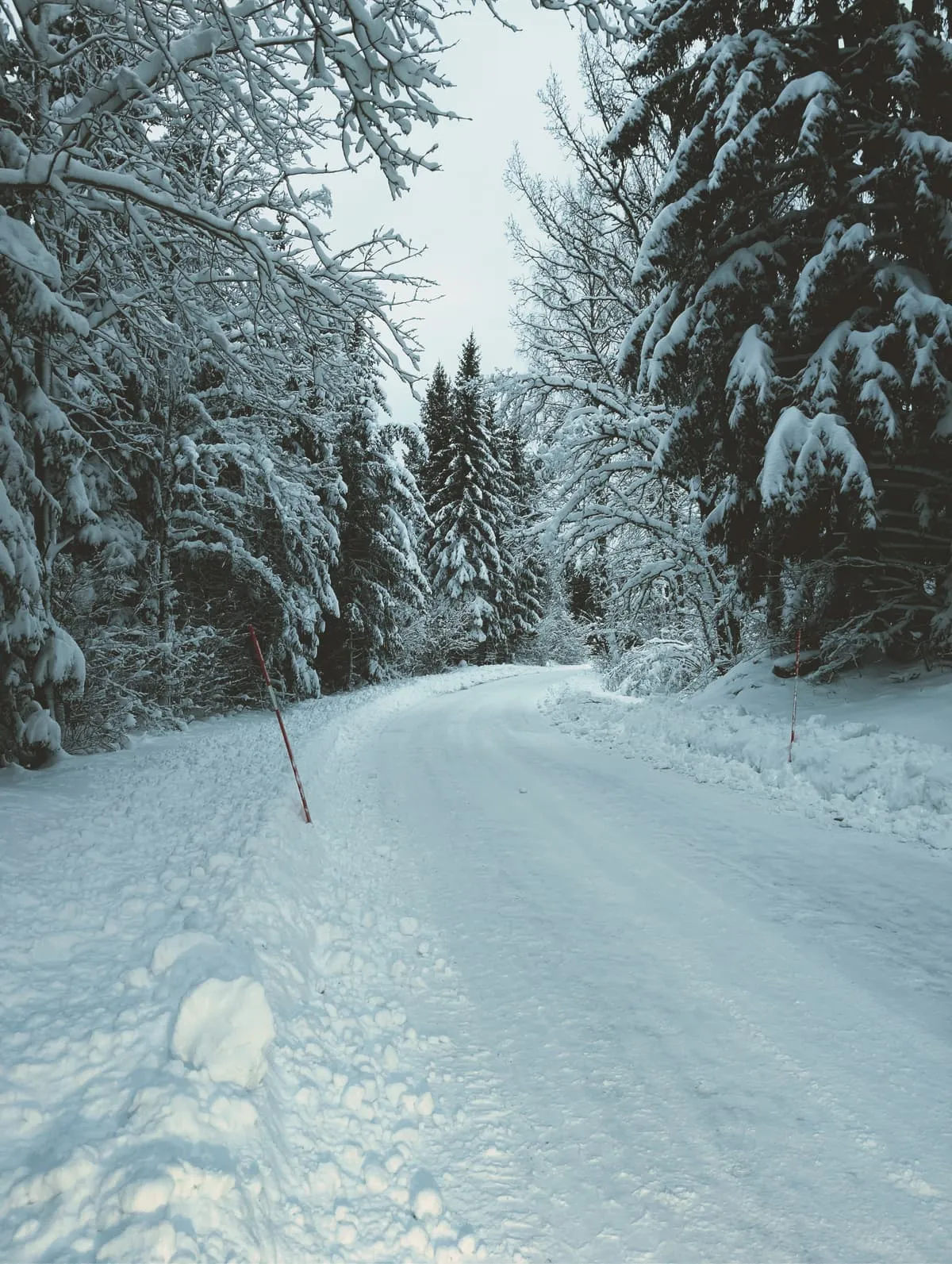 Weekly training photos