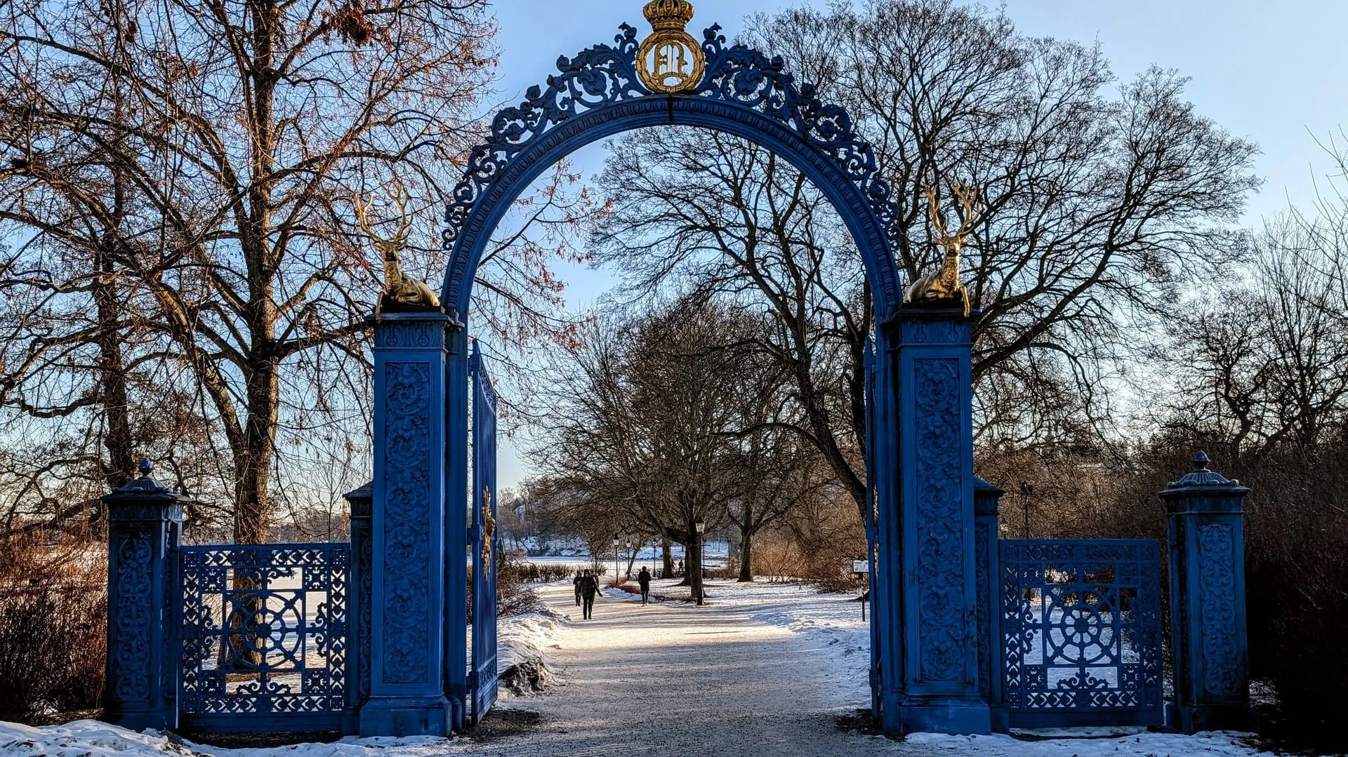 Weekly log 2026-07: Testing the chassis