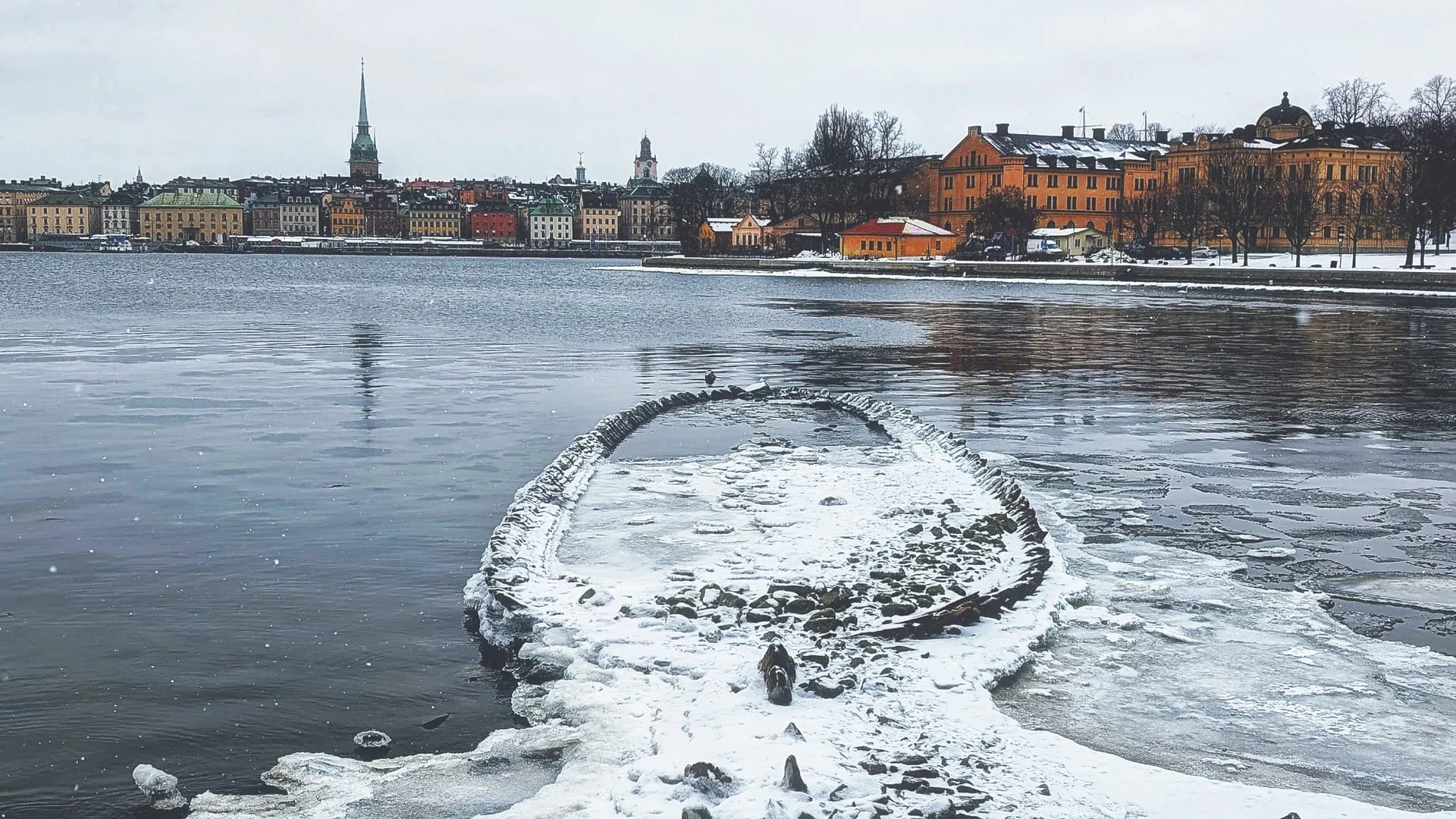 Weekly log 2026-06: Chassis build in Stockholm